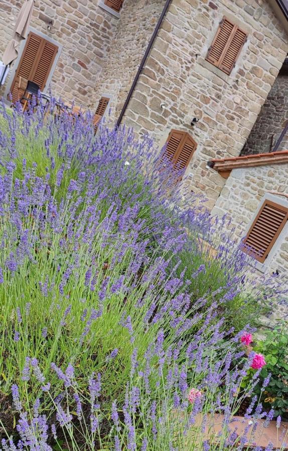 Podere Verdi Colline Poppi Exteriér fotografie