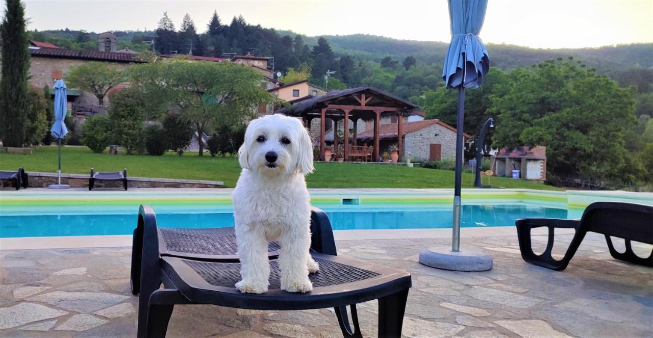Podere Verdi Colline Poppi Exteriér fotografie