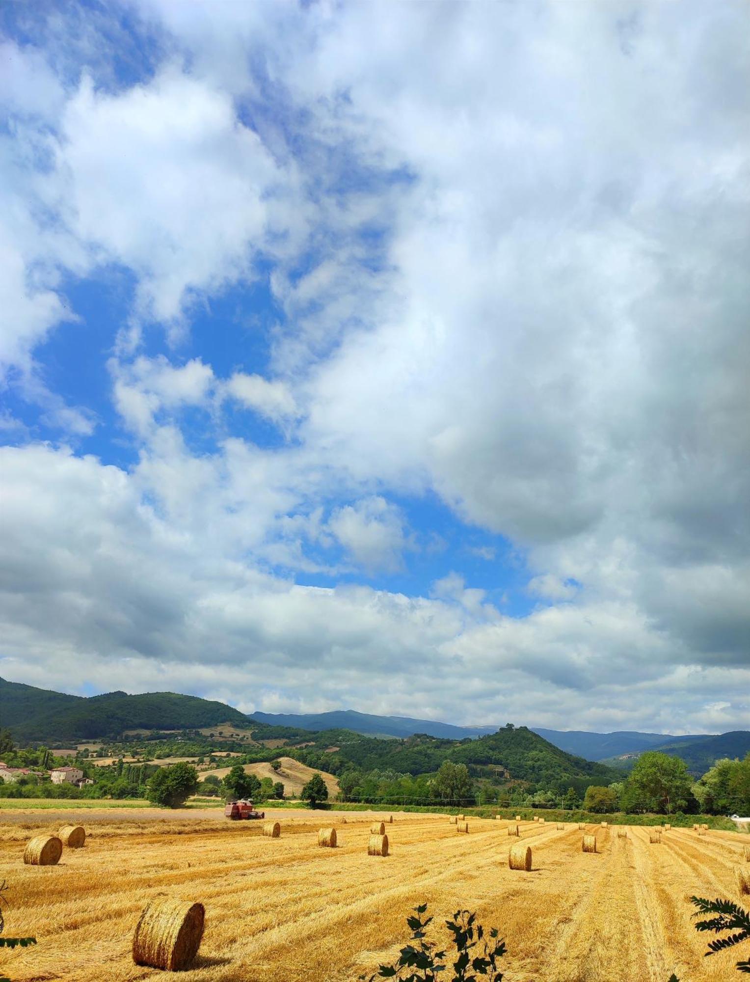 Podere Verdi Colline Poppi Exteriér fotografie